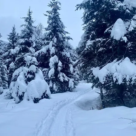 Daniela 4 Appartamento *