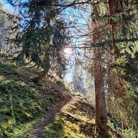 Daniela 4 Apartment *