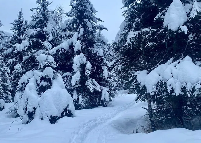 Daniela 4 アパート *