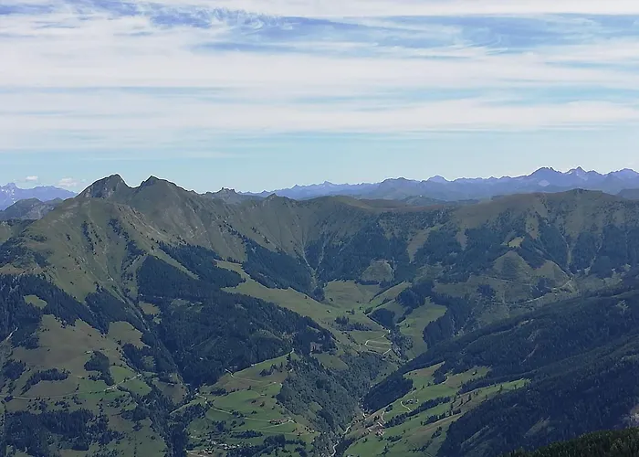 Daniela 4 アパート *